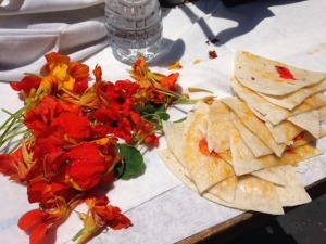 Cooking with Nasturtiums