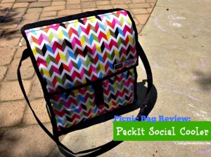 Picnic Bag Review: PackIt Social Cooler