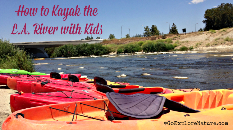 If you're looking for ways to explore the Los Angeles River with your family, we've got you covered! Here's how to kayak the L.A. River with kids.