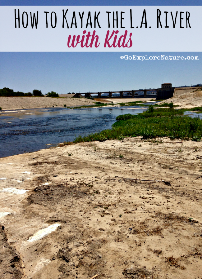 If you're looking for ways to explore the Los Angeles River with your family, we've got you covered! Here's how to kayak the L.A. River with kids.