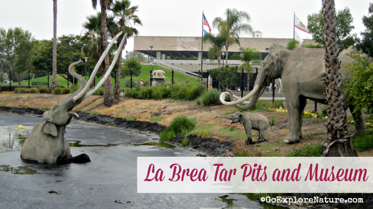 La Brea Tar Pits