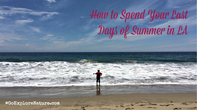 How to Spend Your Last Days of Summer in LA - GoExploreNature.com
