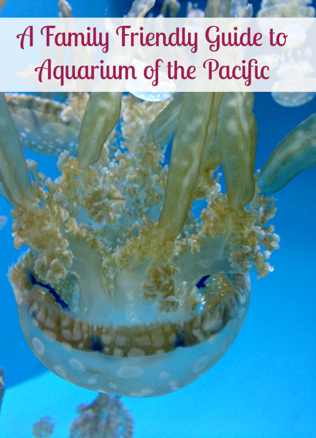 This family friendly guide to visiting the Aquarium of the Pacific in Long Beach will ensure you make the most of your visit with kids.