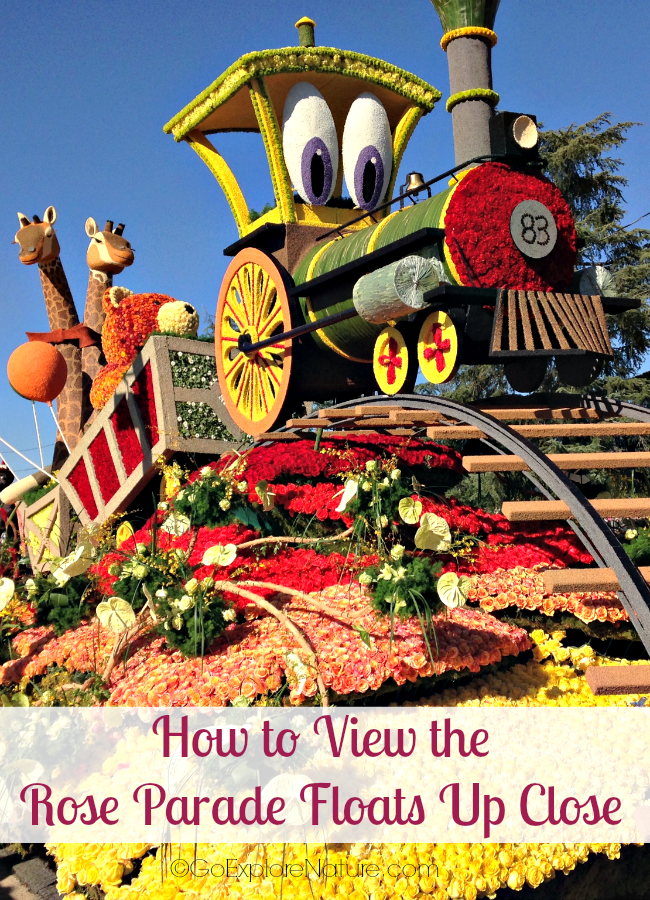 If you want to know how to view the Rose Parade floats up close, here’s my advice: Go see the floats on display in the days following the Parade.