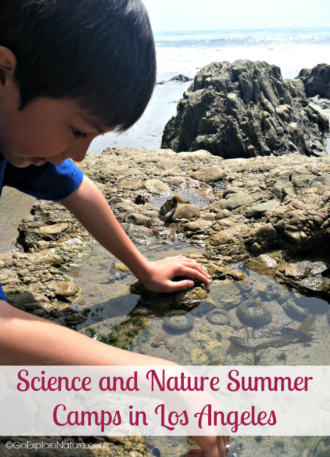 This parent-friendly guide to science and nature summer camps in Los Angeles will help you find the right LA camp for your child.
