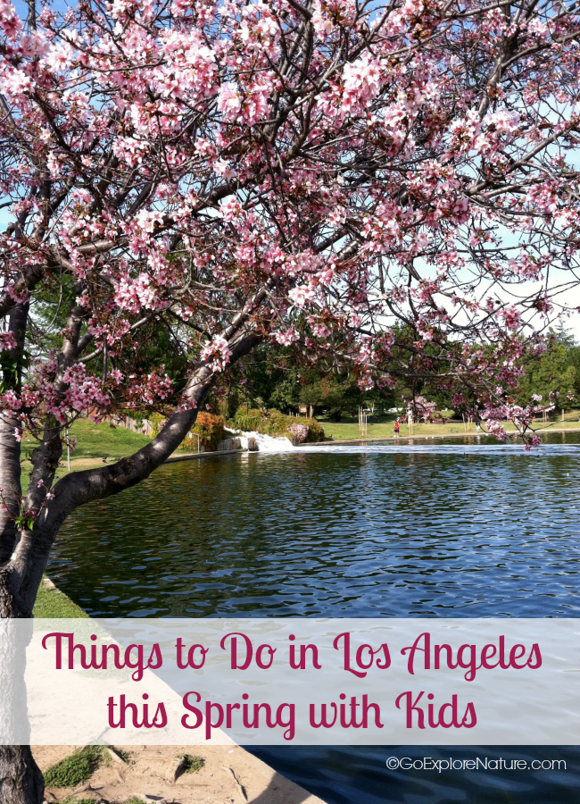 Here are some fun things to do in Los Angeles this spring with kids. Choose one nearby nature activity, pick your LA family favorites or do them all!