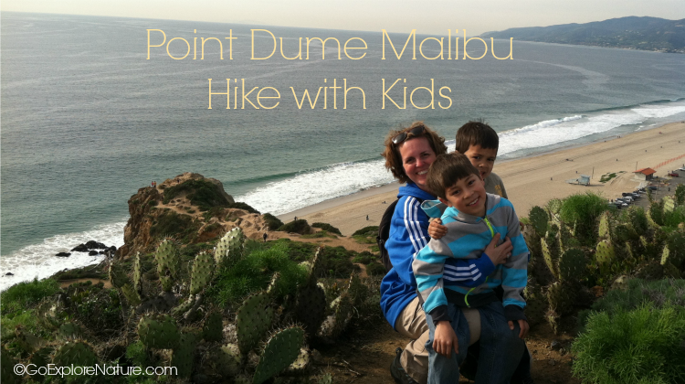 This easy Point Dume Malibu hike with kids offers views of the Santa Monica Bay, migrating gray whales in winter, wildflowers in spring and more.