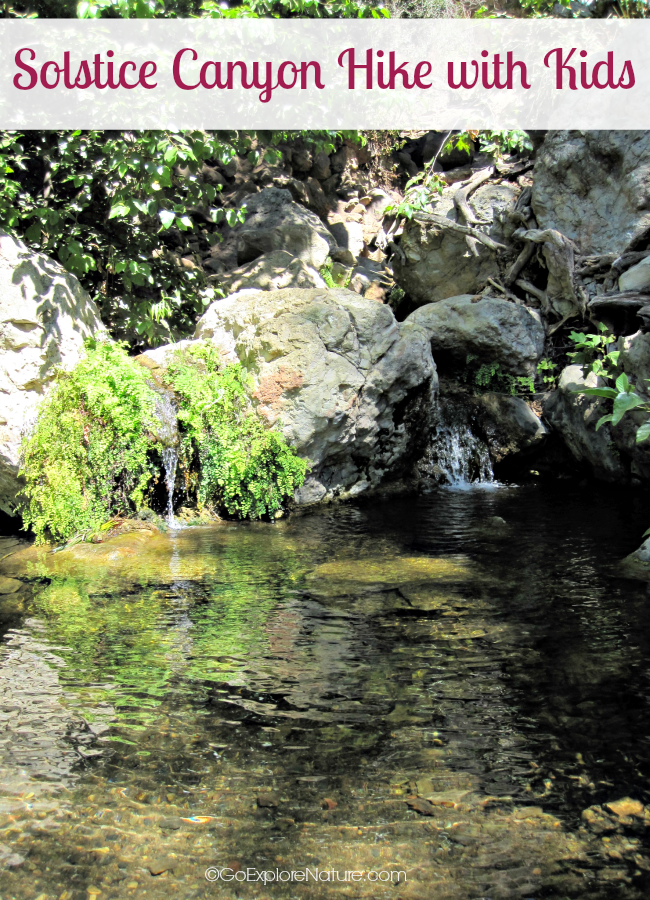 This easy Solstice Canyon hike with kids in Malibu is great for families. Explore old ruins, search for lizards and butterflies, and see a waterfall.