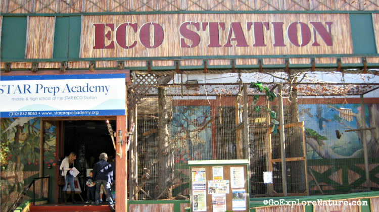 STAR Eco Station is an 18,000-square-foot wildlife rescue center right in the heart of Culver City.