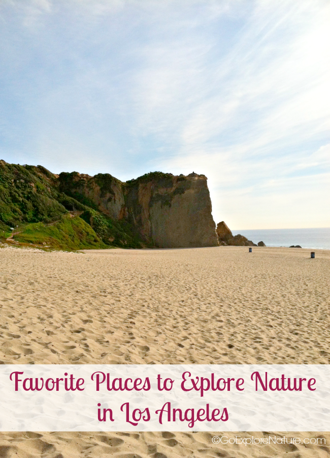 This list of our favorite places to explore nature in Los Angeles provides a sneak peek at all there is to see and do outdoors in LA.