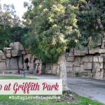 The Old Zoo at Griffith Park is a gem of a picnic spot with minimal crowds. Families will enjoy the open space with lots of opportunities for nature play.