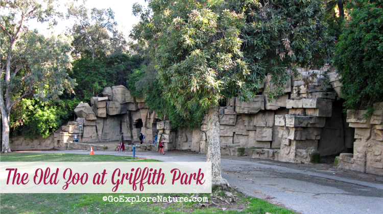 The Old Zoo at Griffith Park is a gem of a picnic spot with minimal crowds. Families will enjoy the open space with lots of opportunities for nature play.