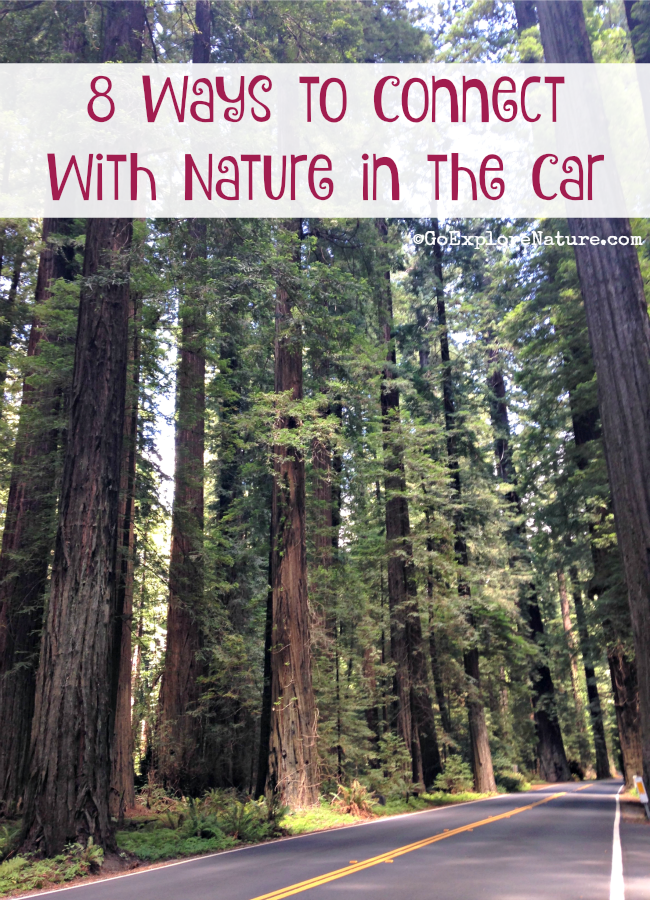 These 8 ways to connect with nature in the car can help you and your family tune into the outdoors on your next family road trip.