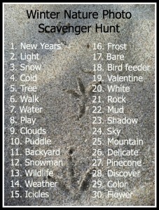 Winter Nature Photo Scavenger Hunt