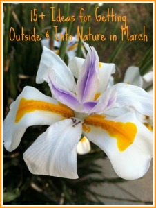 15 ideas for getting outside and into nature with kids in March