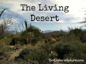 The Living Desert