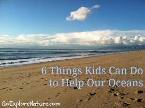 6 things kids can do to help our oceans