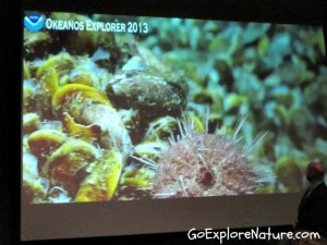Aquarium of the Pacific - Deep Ocean Exploration