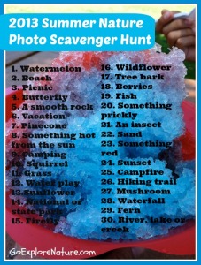 Summer nature photo scavenger hunt