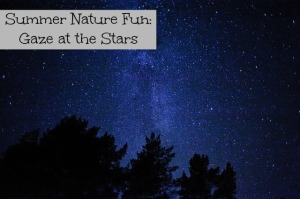 Summer nature fun: Gaze at the stars