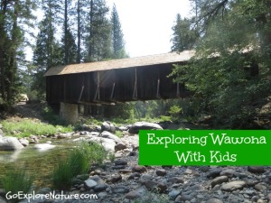 Yosemite National Park: Exploring Wawona With Kids