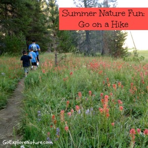 Summer Nature Fun: Go on a Hike Summer Nature Fun: Go on a Hike
