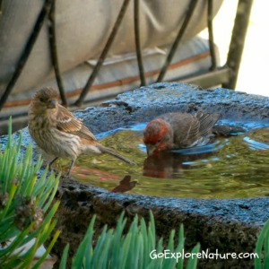 Saturday Snapshot: Water Play