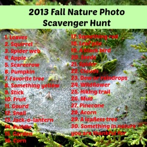 2013 Fall Nature Photo Scavenger Hunt 