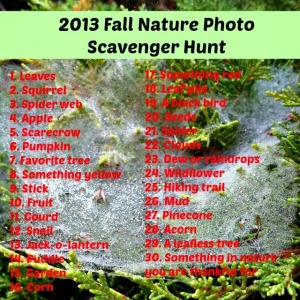 Fall Nature Photo Scavenger Hunt
