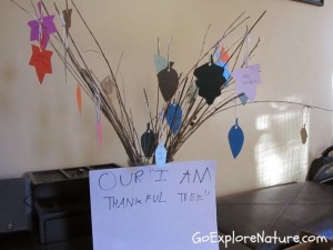 Thankfulness Tree
