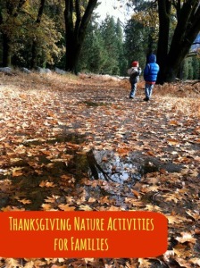 Thanksgiving Nature Activities for Families