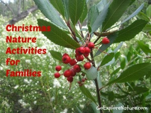 25 Christmas Nature Activities for Families
