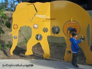 Family Fun at the Los Angeles Zoo