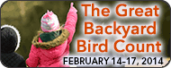 The Great Backyard Bird Count