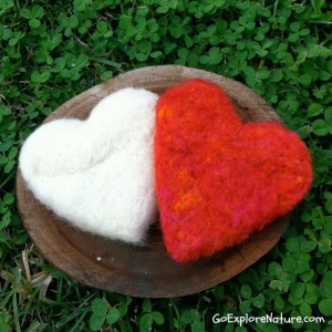 9 Valentine Nature Crafts for Kids