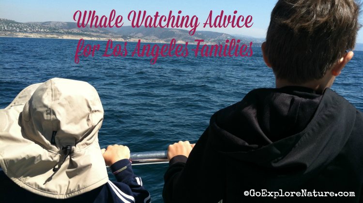 Every Southern California kid should go whale watching! If you’re wondering what it might be like, here’s some sage whale watching advice for Los Angeles families.