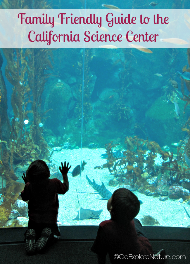 This family friendly guide to the California Science Center in Los Angeles is packed with tips to help you plan the perfect day trip with your kids. 
