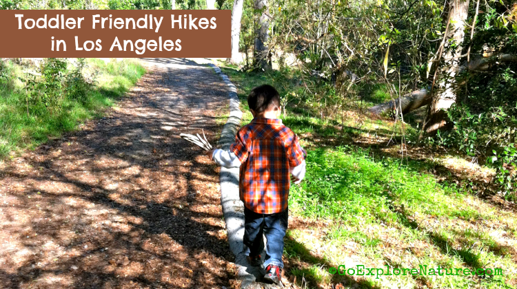 Toddler-Hikes-Featured-750x420
