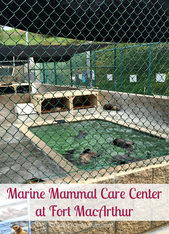 Marine Mammal Care Center - pinnable